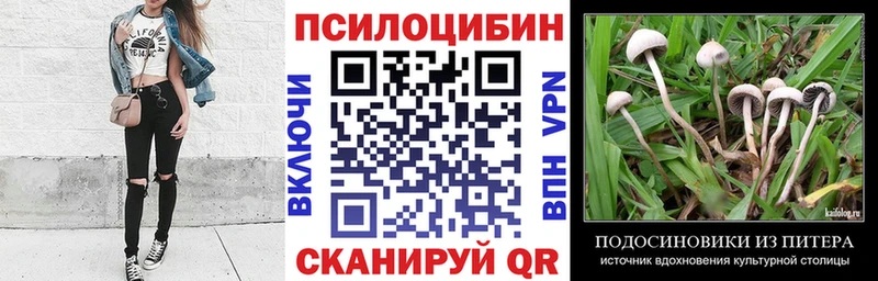 Галлюциногенные грибы прущие грибы  Туран 
